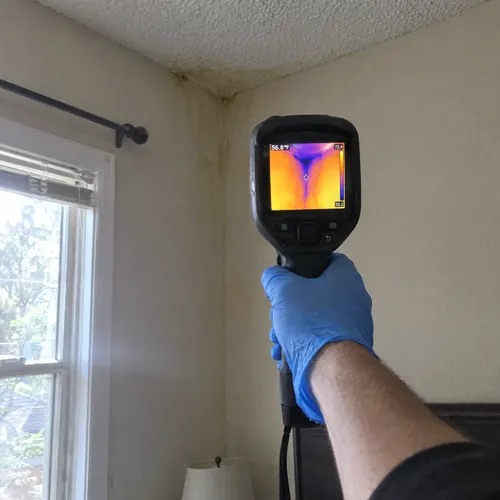 Thermal imaging camera showing a cold moisture patch in a ceiling corner during a mold inspection